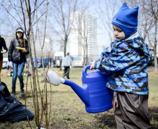 А хочеш знати, чому на вулицях брудно, ями на дорогах та довкола бардак?