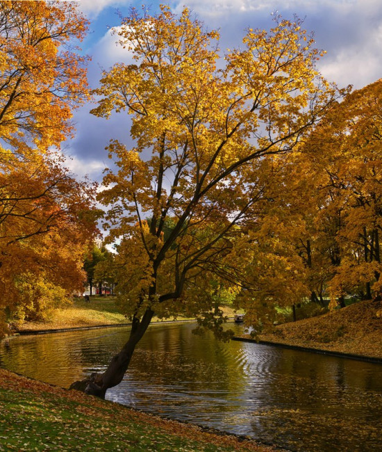 Небо осенью дышало...
