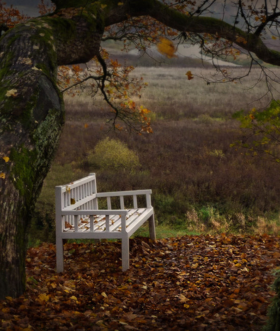 Скамейка, осень, тишина...