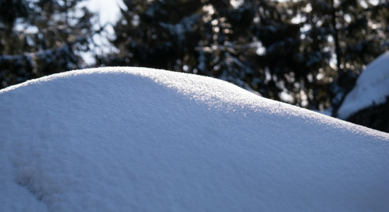 Чому не вивозять сніг?